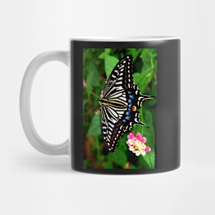 Butterfly 1 Mug